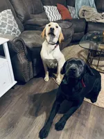 processed/07369445-1f40-43c0-881a-5c66278abb58/listing/7d1556a4-f91d-40c0-9b68-b4accba486f4/755332e5-3424-442a-ae0a-cc2835e96377