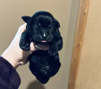 processed/07369445-1f40-43c0-881a-5c66278abb58/listing/7d1556a4-f91d-40c0-9b68-b4accba486f4/a3d032cc-5d70-4d74-baa6-6dcecb9c68e9