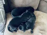 processed/07369445-1f40-43c0-881a-5c66278abb58/listing/7d1556a4-f91d-40c0-9b68-b4accba486f4/f8132d39-0713-423b-84b4-ee76c6f37cea