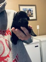 processed/07369445-1f40-43c0-881a-5c66278abb58/listing/f0153b6f-ed29-42c0-b01a-26b0d4204c2d/0fd1872c-5055-4dd9-9afb-6dd2d452392d