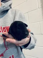 processed/07369445-1f40-43c0-881a-5c66278abb58/listing/f0153b6f-ed29-42c0-b01a-26b0d4204c2d/3f2ebeb9-9d17-4bc3-ac80-73caca743d74