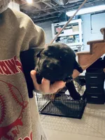 processed/07369445-1f40-43c0-881a-5c66278abb58/listing/f0153b6f-ed29-42c0-b01a-26b0d4204c2d/8080edc0-a2a3-4702-940a-d42698786508