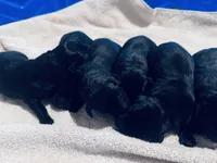 processed/07369445-1f40-43c0-881a-5c66278abb58/listing/f0153b6f-ed29-42c0-b01a-26b0d4204c2d/8509b1c7-15dd-4be7-ab26-d4ef59e18e18