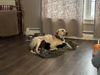 processed/07369445-1f40-43c0-881a-5c66278abb58/listing/f0153b6f-ed29-42c0-b01a-26b0d4204c2d/a327fa39-69a1-4fbb-a1bc-c5a44474a5b8