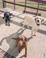 processed/07369445-1f40-43c0-881a-5c66278abb58/listing/f0153b6f-ed29-42c0-b01a-26b0d4204c2d/c1cb36c2-9c11-4b9c-990e-c35e4d1386d2