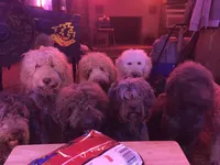 processed/073bb1db-7d1c-4022-9918-088c1f89bd01/facility/3a871b98-3bea-4ad3-bdda-1a953fa3d193