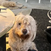 processed/073bb1db-7d1c-4022-9918-088c1f89bd01/facility/864468d2-7442-4f01-8317-a5ece9aed3f0