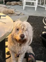 processed/073bb1db-7d1c-4022-9918-088c1f89bd01/facility/864468d2-7442-4f01-8317-a5ece9aed3f0