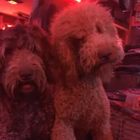 processed/073bb1db-7d1c-4022-9918-088c1f89bd01/facility/92a5c987-99b3-475a-98cb-d972e44c1198