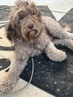 processed/073bb1db-7d1c-4022-9918-088c1f89bd01/facility/c2eb5cb7-d807-49b9-8db7-c114fde78aad