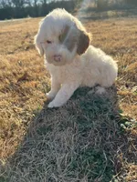 processed/073bb1db-7d1c-4022-9918-088c1f89bd01/listing/0d311afa-a703-4563-b12d-6df87e991375/60079b3f-3cc1-41db-8da3-8c2eb42fb63d