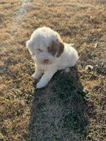 processed/073bb1db-7d1c-4022-9918-088c1f89bd01/listing/0d311afa-a703-4563-b12d-6df87e991375/e343a3fa-6ae5-43e6-8477-8ec041795d51