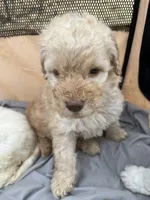 processed/073bb1db-7d1c-4022-9918-088c1f89bd01/listing/5c449361-d940-47ed-84ca-755b2e6b66da/f4394e51-4c05-48d9-8060-038bfcf18a8d