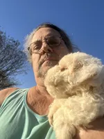 processed/073bb1db-7d1c-4022-9918-088c1f89bd01/listing/bf85d798-b52a-4567-84a0-679f082167b7/03d87b8d-9985-4b31-a39a-ef9a92f68098