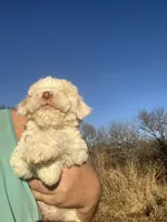 processed/073bb1db-7d1c-4022-9918-088c1f89bd01/listing/bf85d798-b52a-4567-84a0-679f082167b7/a7ec48ba-23d5-44a0-a9de-94791589b787