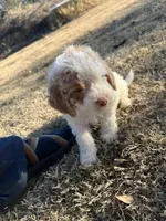 processed/073bb1db-7d1c-4022-9918-088c1f89bd01/listing/cace0948-99db-4501-bc71-1c800a8f5cc4/951e11b7-7806-4a7d-9e47-9da3214902bf