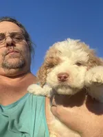 processed/073bb1db-7d1c-4022-9918-088c1f89bd01/listing/cace0948-99db-4501-bc71-1c800a8f5cc4/fd31f546-b541-481c-8973-b2e409e41a6f