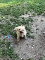 processed/073bb467-39ea-4712-bdc1-22a2d5908b93/listing/6bd4c6d7-b116-4785-ad66-0310247ead51/0e40e2dd-1265-4695-a7e5-dd43941dce0a