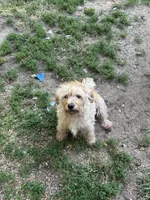 processed/073bb467-39ea-4712-bdc1-22a2d5908b93/listing/6bd4c6d7-b116-4785-ad66-0310247ead51/c19ffe92-3bdd-4802-a470-f088d5fe86a5