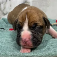 processed/0740a20f-b7cb-4738-ba25-58f44c974df4/facility/a0bfc7e2-429f-4935-987a-50a00af81be1