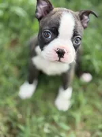 processed/0740a20f-b7cb-4738-ba25-58f44c974df4/listing/50bc47a0-28d1-4078-a2bb-b32574085132/4403f4bc-c146-48aa-ab98-abbfbc038238