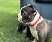 processed/0740a20f-b7cb-4738-ba25-58f44c974df4/listing/50bc47a0-28d1-4078-a2bb-b32574085132/d3cbb04d-018b-474e-82e2-c8b097549425