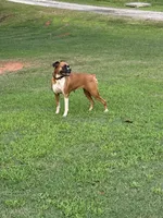 processed/0740a20f-b7cb-4738-ba25-58f44c974df4/listing/63d0aaa5-a3af-4d47-99fc-dbb853b32b8c/f60b7d27-a877-4a48-806f-e7d1e7dbe629