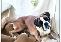 processed/0740a20f-b7cb-4738-ba25-58f44c974df4/listing/f525d8e7-8d7c-4234-aed7-e03f6934d0ef/4904b5f0-13e6-4e00-a7a0-a90f2e939494