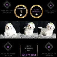 processed/074afcef-7574-4d9d-9caa-7b64469b39ab/listing/3969f4db-72f7-44d1-8c7f-8376cb6b16e3/62468b62-c9bf-4896-88ef-6c49ef7ac6fc