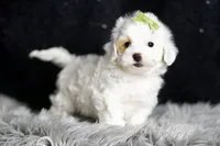 processed/074afcef-7574-4d9d-9caa-7b64469b39ab/listing/3969f4db-72f7-44d1-8c7f-8376cb6b16e3/90e2a196-9c69-463d-b2f5-d22fc7b9f8ec