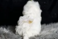 processed/074afcef-7574-4d9d-9caa-7b64469b39ab/listing/3969f4db-72f7-44d1-8c7f-8376cb6b16e3/96efe434-ac15-435c-a75c-f7960350b820