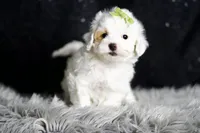 processed/074afcef-7574-4d9d-9caa-7b64469b39ab/listing/3969f4db-72f7-44d1-8c7f-8376cb6b16e3/a2139b33-cb5c-4ff1-8986-b2665733d544