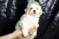 processed/074afcef-7574-4d9d-9caa-7b64469b39ab/listing/3969f4db-72f7-44d1-8c7f-8376cb6b16e3/f9f2d88c-6ff6-4cbb-a2c4-2821e5ae1118