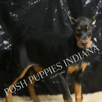 processed/074afcef-7574-4d9d-9caa-7b64469b39ab/listing/48167395-41e7-4b61-b7b1-637ce06a18ee/45947ce7-2424-40e0-9594-cf97b56c2800