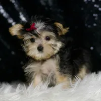 processed/074afcef-7574-4d9d-9caa-7b64469b39ab/listing/65854a27-02f1-45d6-b564-189990b1ab5a/14fc9014-eb3c-477a-844f-d4e0d219f2fc