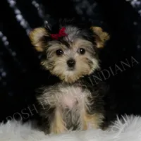 processed/074afcef-7574-4d9d-9caa-7b64469b39ab/listing/65854a27-02f1-45d6-b564-189990b1ab5a/38369dde-9085-4d06-a66b-0bfaf80de528