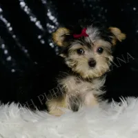 processed/074afcef-7574-4d9d-9caa-7b64469b39ab/listing/65854a27-02f1-45d6-b564-189990b1ab5a/7493987e-90fb-452d-abcb-447e408fa974