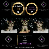 processed/074afcef-7574-4d9d-9caa-7b64469b39ab/listing/65854a27-02f1-45d6-b564-189990b1ab5a/7e4ee8ae-48ac-413d-8788-2a8196b8db45