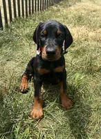 processed/074afcef-7574-4d9d-9caa-7b64469b39ab/listing/6b023a56-4832-48ee-8567-2a17c19cea73/3cadffe4-f66a-4363-9250-2f14eb96f586