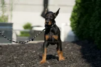 processed/074afcef-7574-4d9d-9caa-7b64469b39ab/listing/6b023a56-4832-48ee-8567-2a17c19cea73/4cf8c10c-0561-4420-ac1d-967344a9b537