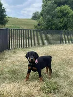 processed/074afcef-7574-4d9d-9caa-7b64469b39ab/listing/6b023a56-4832-48ee-8567-2a17c19cea73/9b122a7d-f44d-46ef-9c53-4c68b3dc5858