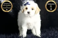 processed/074afcef-7574-4d9d-9caa-7b64469b39ab/listing/77698801-8c5d-4f31-a25a-1c3292593645/648be207-a160-4666-9ff7-2f5892ad0e77