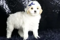 processed/074afcef-7574-4d9d-9caa-7b64469b39ab/listing/77698801-8c5d-4f31-a25a-1c3292593645/6f202d46-d065-4929-a271-7f40fe3f99eb