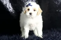 processed/074afcef-7574-4d9d-9caa-7b64469b39ab/listing/77698801-8c5d-4f31-a25a-1c3292593645/8d21e0ac-0a0b-4236-932e-eafd500ce7db