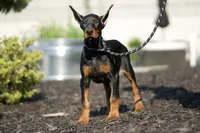 processed/074afcef-7574-4d9d-9caa-7b64469b39ab/listing/80211dd4-e693-4009-91c9-831d8c6027dd/0ca5fa2f-6a67-4887-8b93-552d9c804b6d