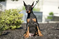 processed/074afcef-7574-4d9d-9caa-7b64469b39ab/listing/80211dd4-e693-4009-91c9-831d8c6027dd/871cddf5-b0ca-4d04-8f46-1a5b9369c9b2