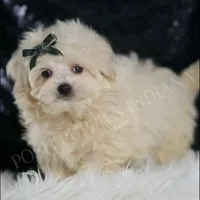 processed/074afcef-7574-4d9d-9caa-7b64469b39ab/listing/8022c9bd-f668-4e93-95c9-27a64345da9b/c6388bb4-33c0-47dd-b177-77700365738b