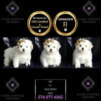 processed/074afcef-7574-4d9d-9caa-7b64469b39ab/listing/89131726-b219-414f-8339-21513b76cf6a/2bca044b-ed88-4037-bc8b-8dcf563943f9