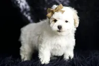 processed/074afcef-7574-4d9d-9caa-7b64469b39ab/listing/89131726-b219-414f-8339-21513b76cf6a/386e860f-257f-4f90-b3fb-afbb1331a8b4