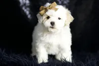 processed/074afcef-7574-4d9d-9caa-7b64469b39ab/listing/89131726-b219-414f-8339-21513b76cf6a/51f4349f-d97e-4b72-a4be-2932f2d487b8